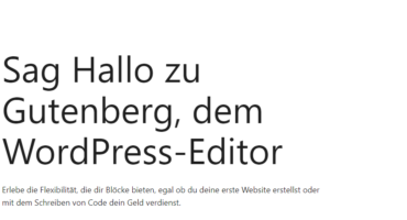 Gutenberg Editor